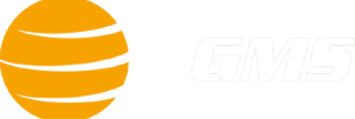 LGMS